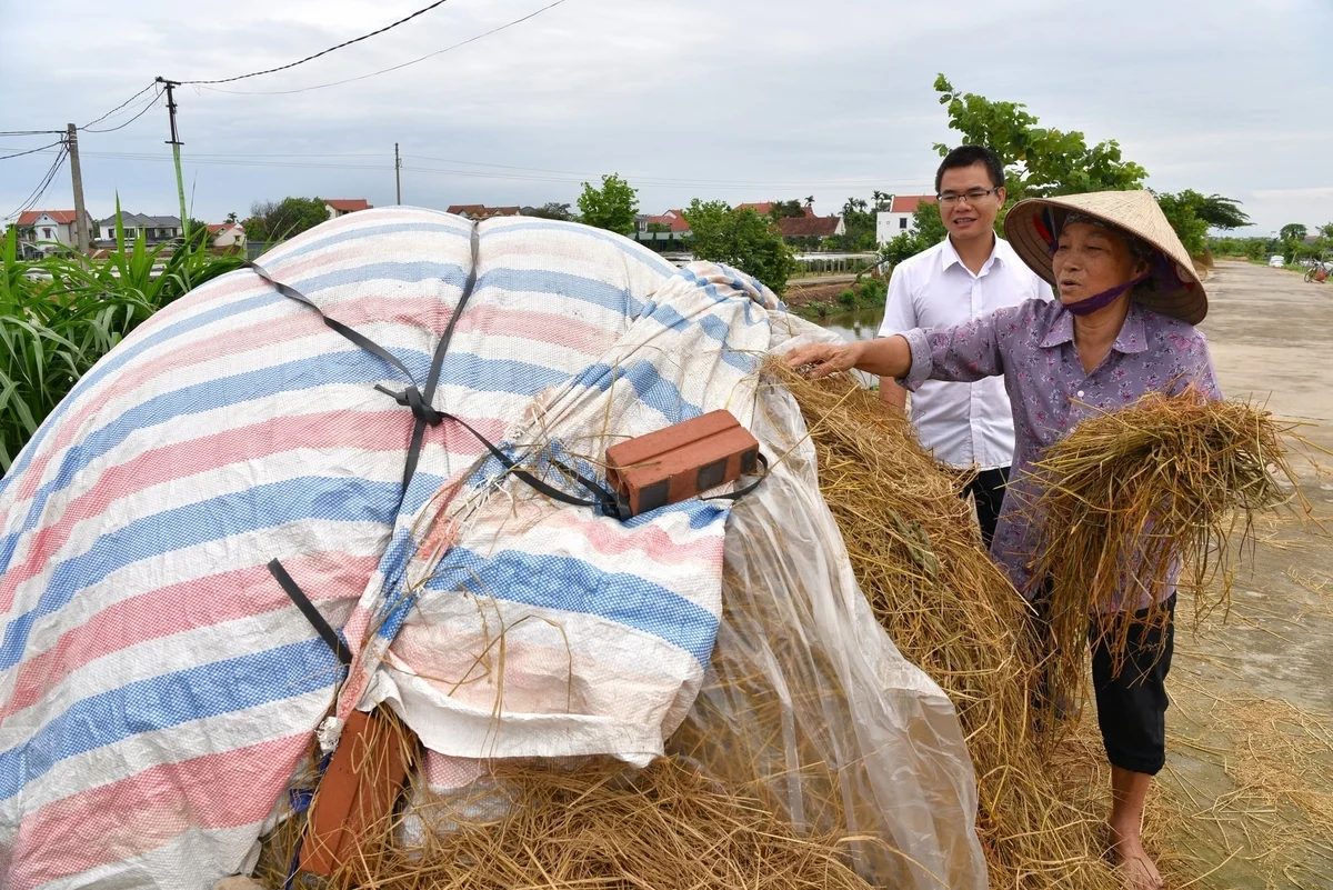 Nơi mỗi ruộng rau đều có một cây rơm