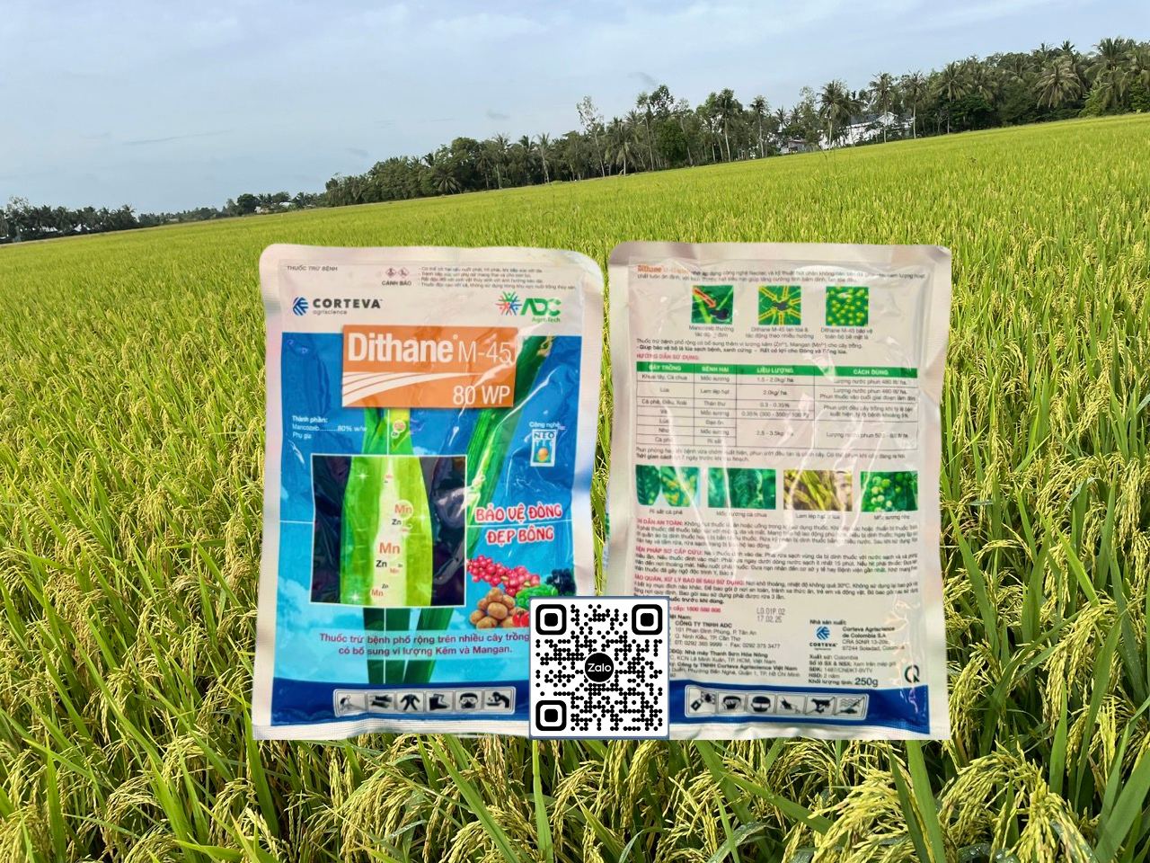 Dithane M45 - 250gr (Vàng)