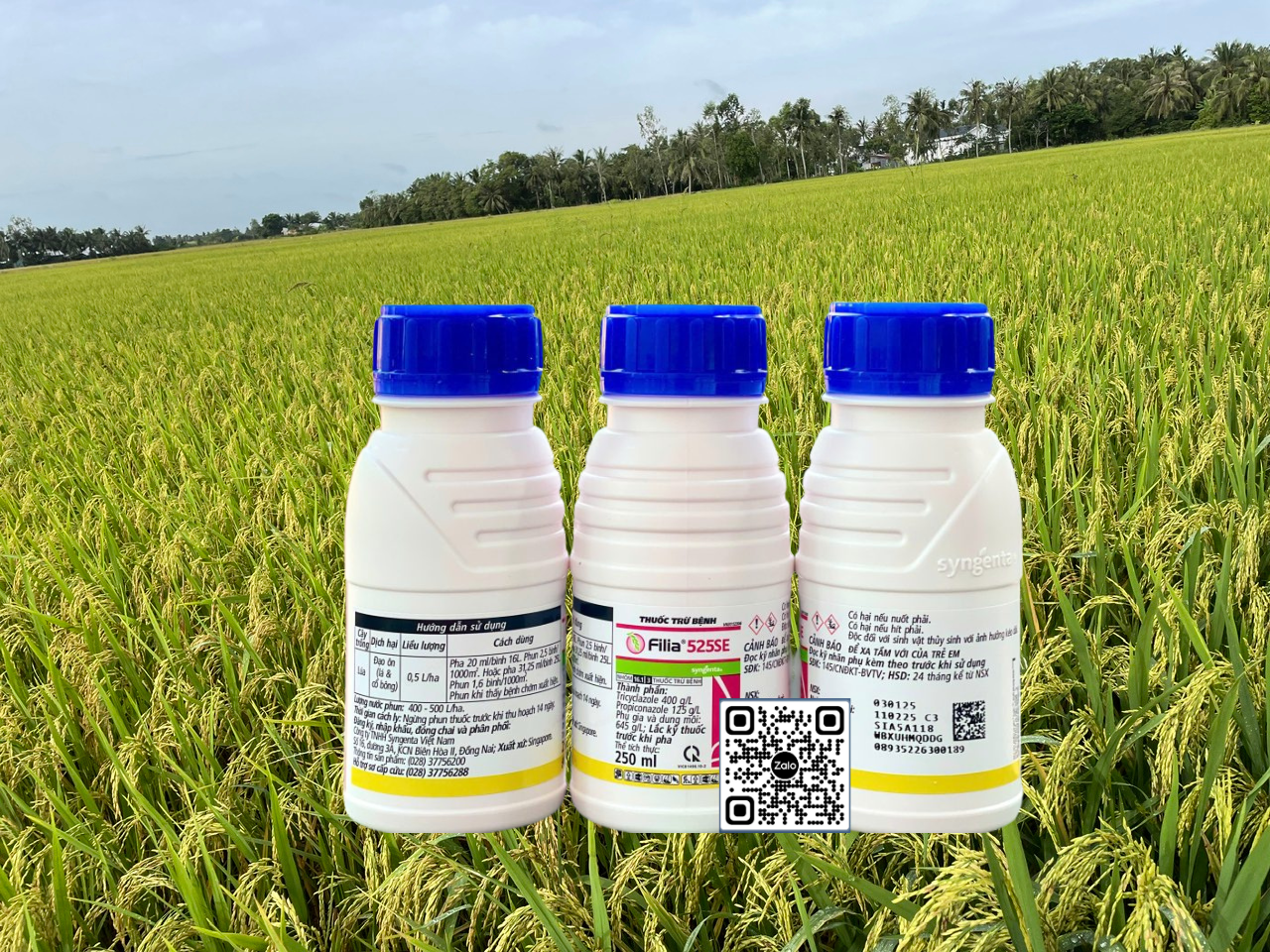 Filia 525SE - 250ml x 40 chai