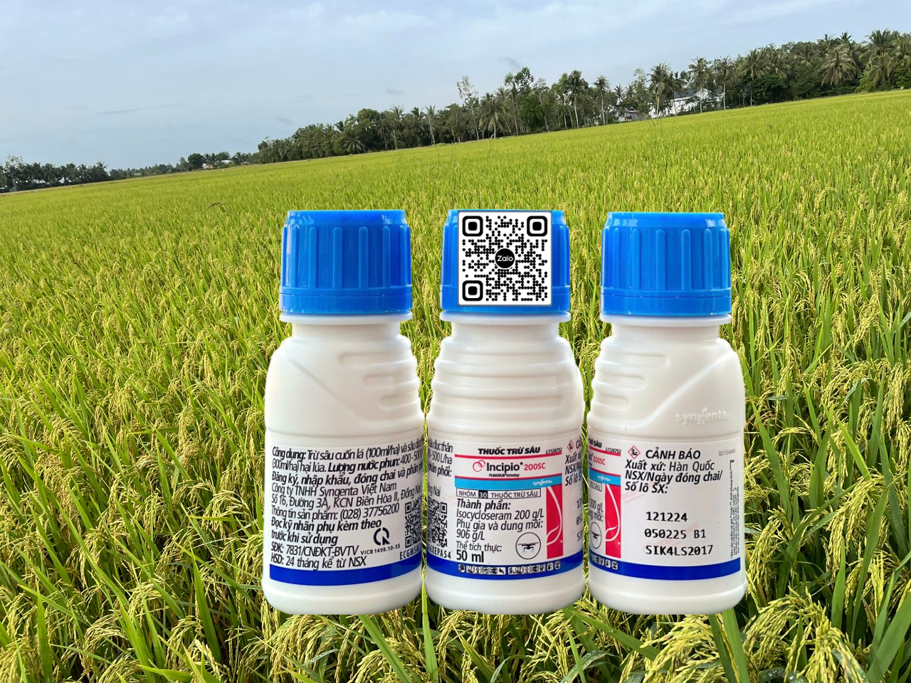 Incipio 200SC Chai 50ml x 100 chai