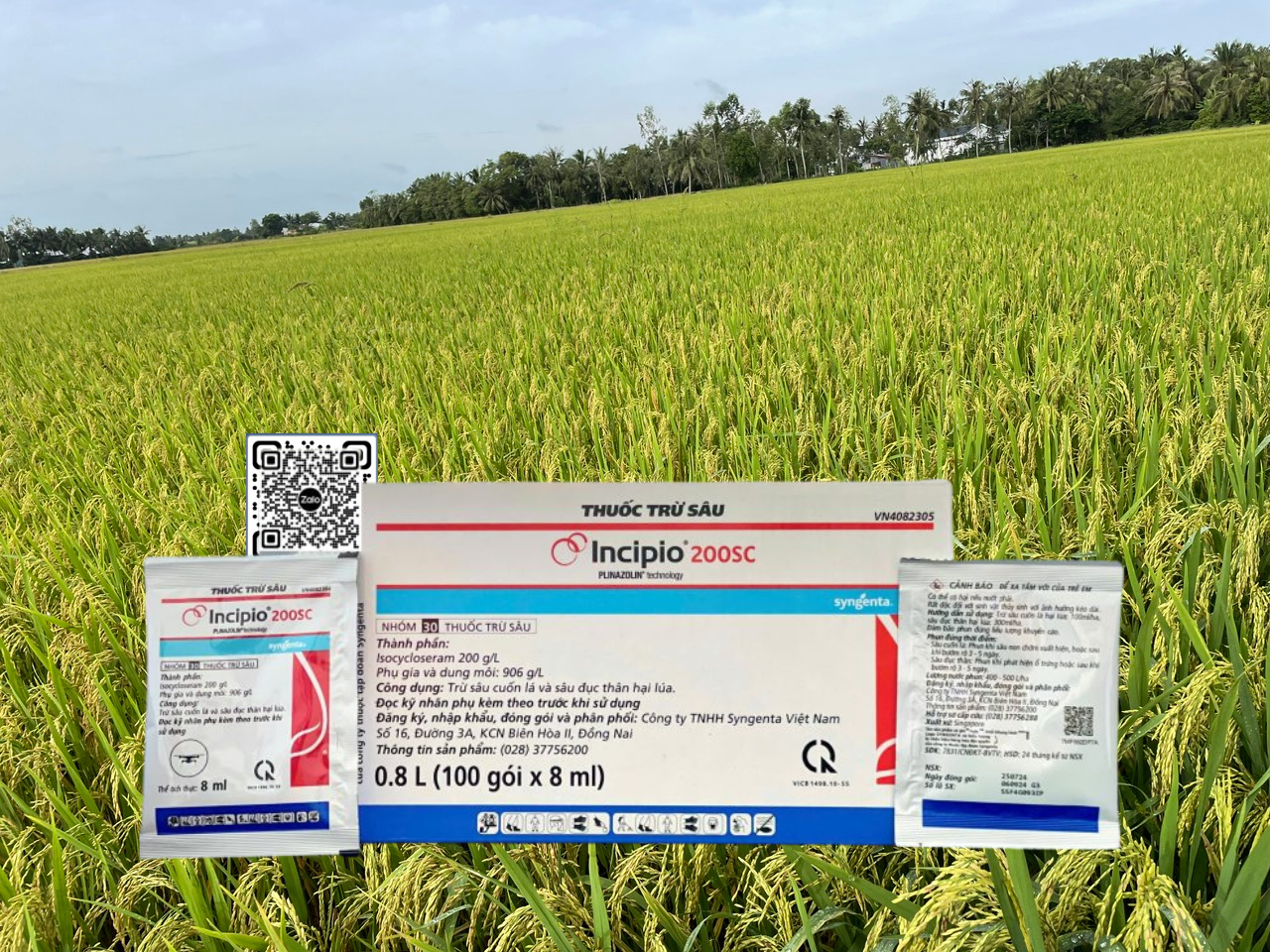 Incipio 200SC - 8ml (4 Hộp x 100 gói)