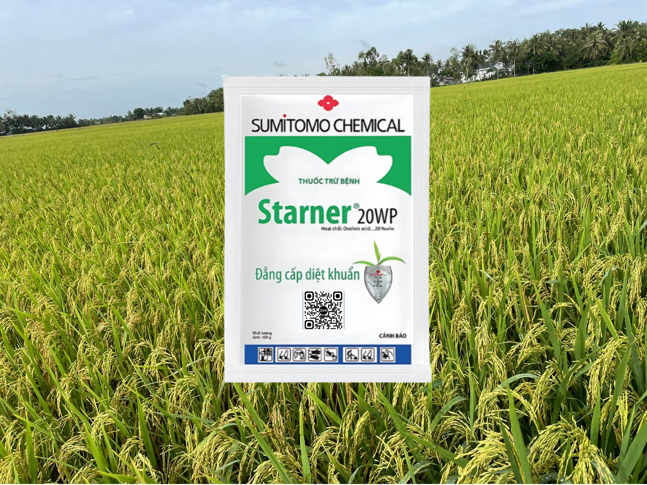 STARNER 20WP 100g