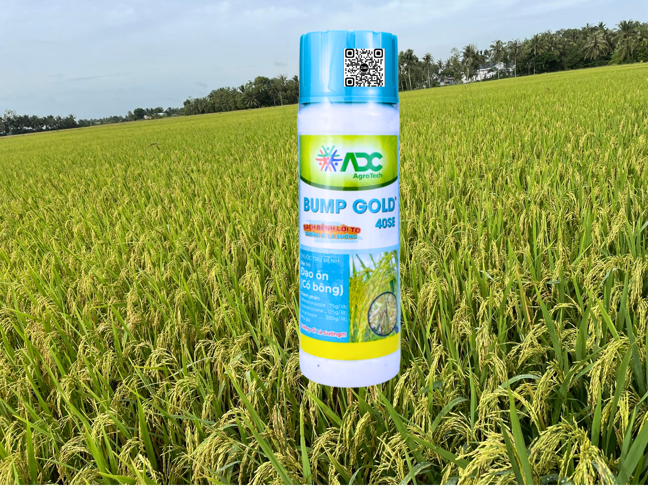 BUMP GOLD 40SE 250ml